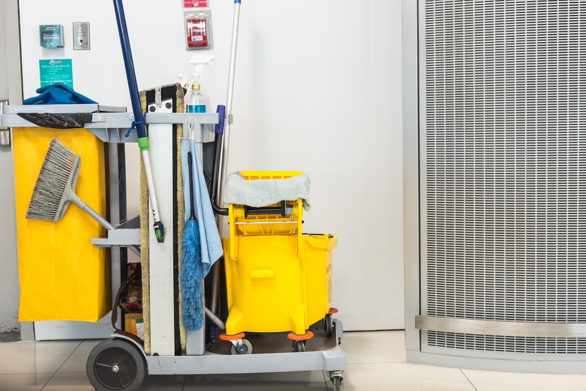 Cleaning & Maintenance