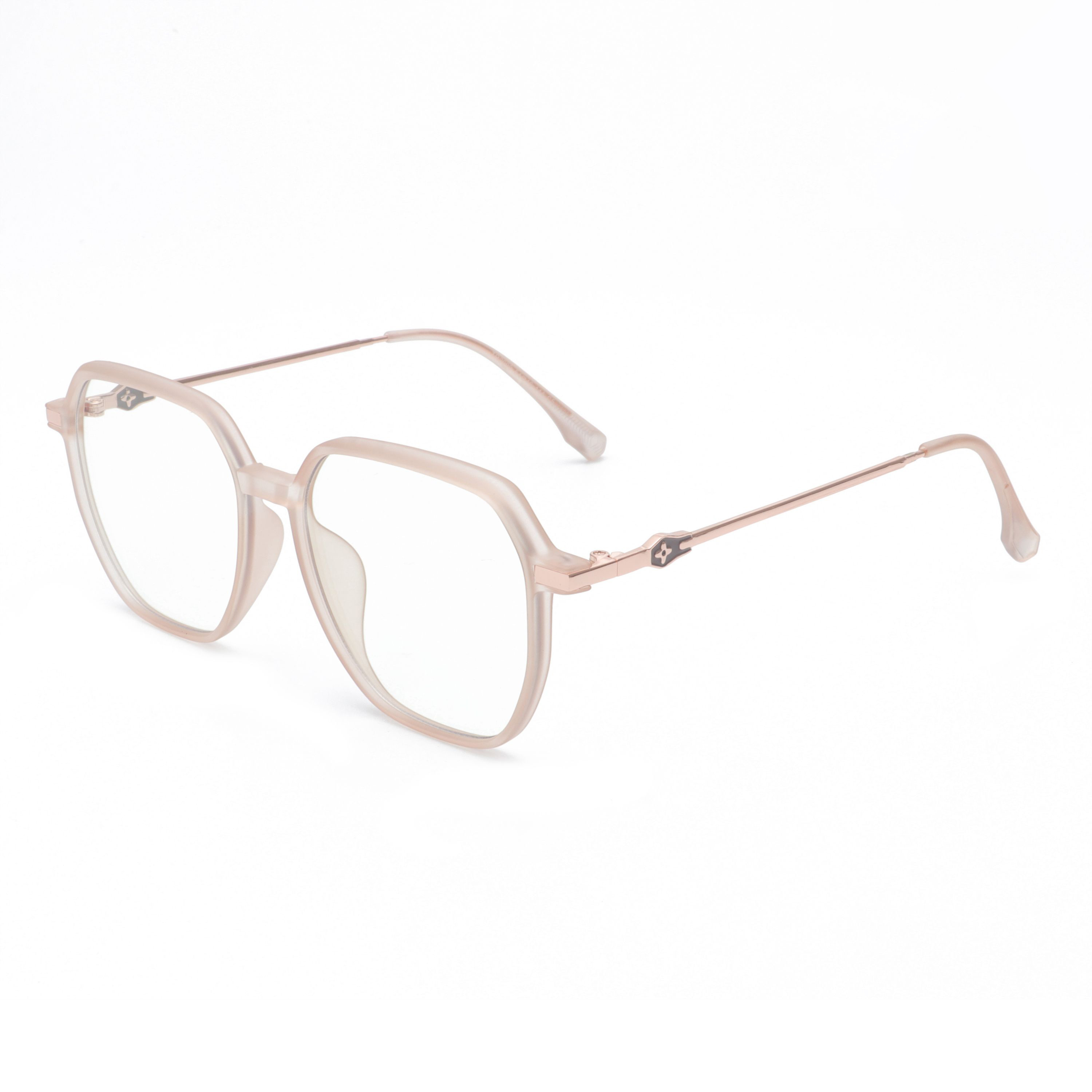 RIANOVA TR90 square metal anti-blue light frosted eyeglasses frame with decorative temples 2099