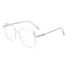 RIANOVA TR90 square metal anti-blue light frosted eyeglasses frame with decorative temples 2099