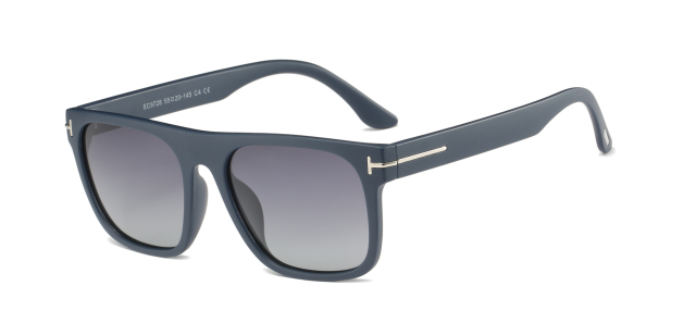 Enrique Cavaldi Metallic Stripe Embellished Polarized Sunglasses 9728