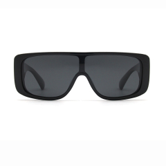LEKE Polarized Sunglasses Simplicity One pair of lenses 26008