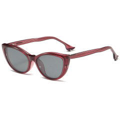 LEKE magnetic sleeve polarized sunglasses CP Pin insertion mirror leg UV400 8809