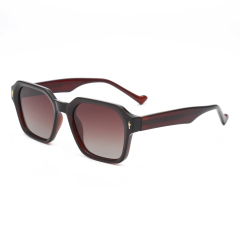 Rianova UV Protective Polarized Sunglasses Sunglasses leg pins 9001