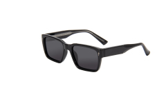 Rianova UV Protective Polarized Sunglasses Sunglasses leg pins 9002