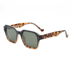 Rianova UV Protective Polarized Sunglasses Sunglasses leg pins 9001