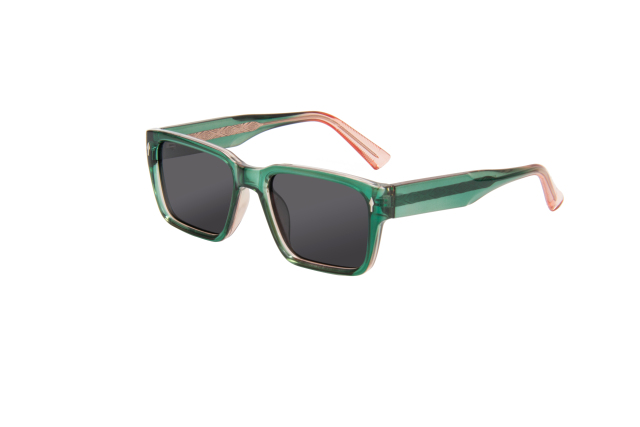 Rianova UV Protective Polarized Sunglasses Sunglasses leg pins 9002