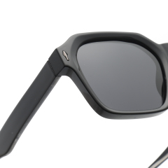 Rianova UV Protective Polarized Sunglasses Sunglasses leg pins 9001