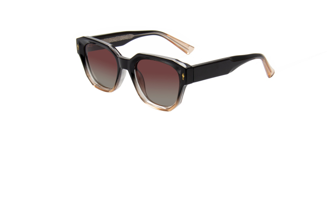 Rianova UV Protective Polarized Sunglasses Sunglasses leg pins 9004