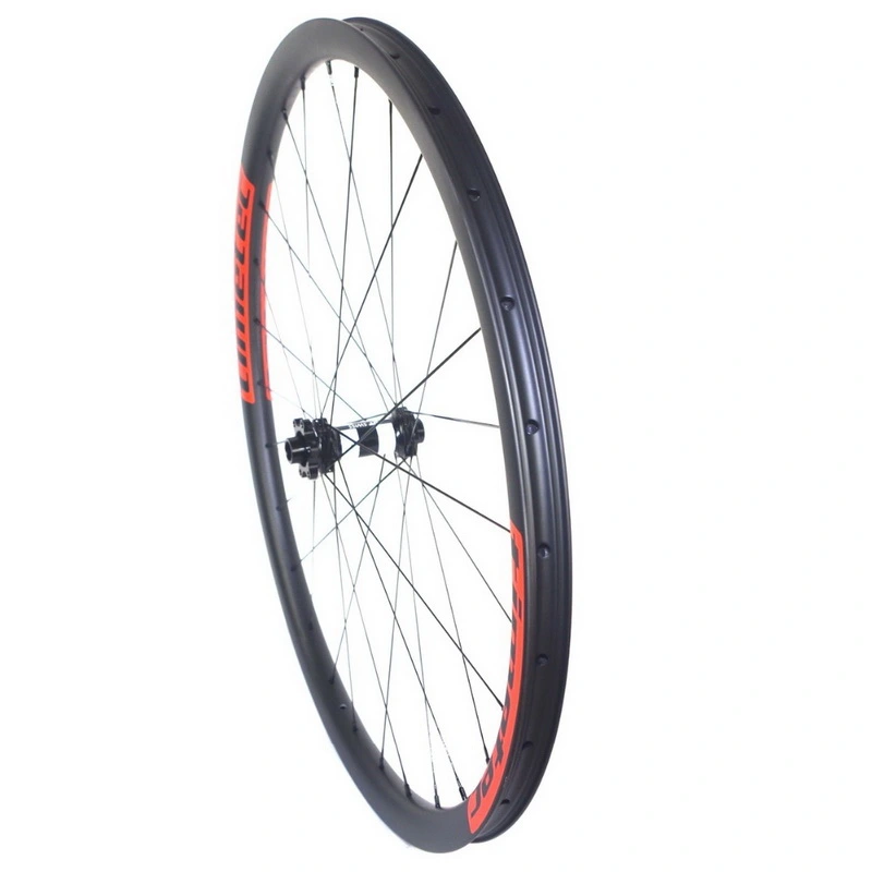 29ER MTB Carbon Wheels DT 350S Hub Light Weight 30mm width 25mm Depth 11S 12S