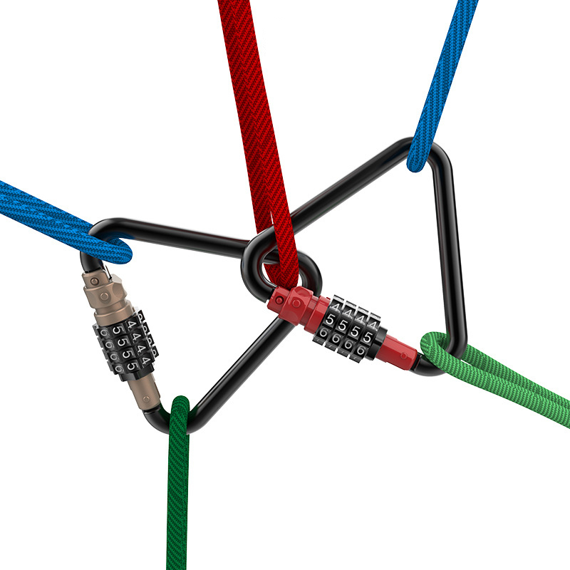 Heavy Duty Carabiner Clips with 4-Digit Combination Locks