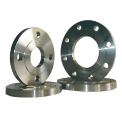 Incoloy 800H Flanges