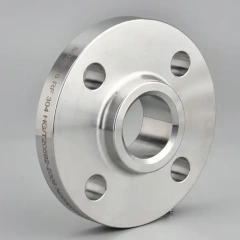 Hastelloy C-22 Flanges