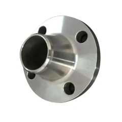 Hastelloy C-22 Flanges