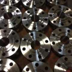 Hastelloy C-22 Flanges
