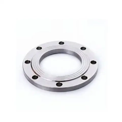 Incoloy 800H Flanges