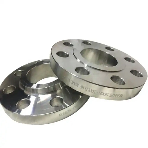 Hastelloy C-22 Flanges