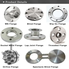 Alloy 20 Flanges