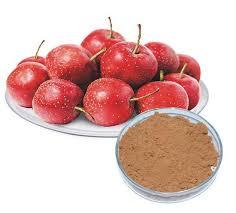 Hawthorn Fruit Extract