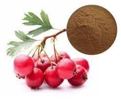 Hawthorn Fruit Extract