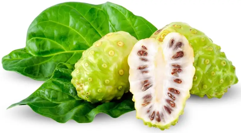 Noni Fruit Power