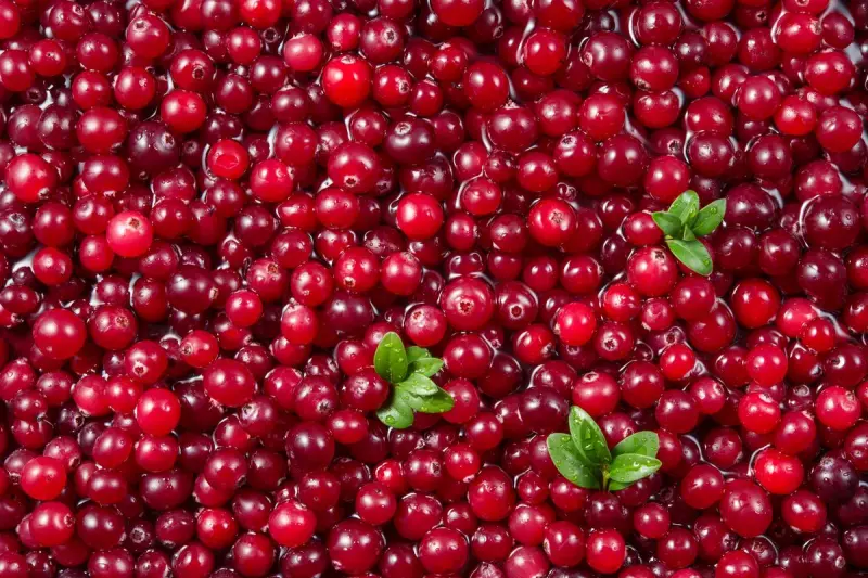 Cranberry Power