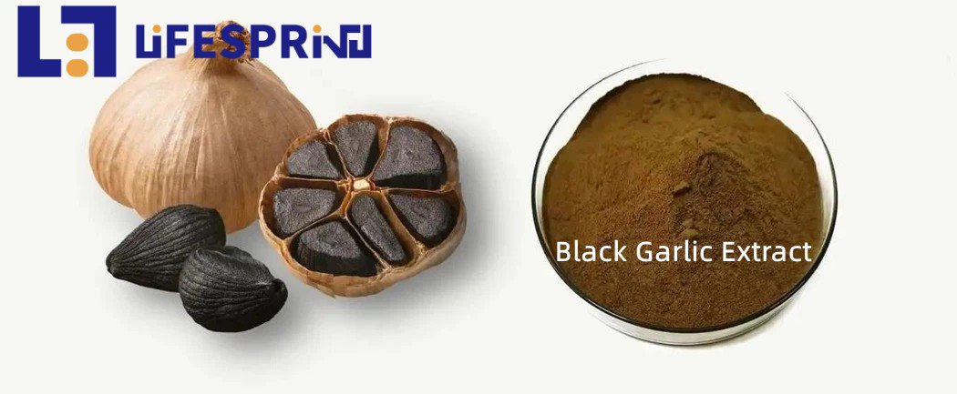 Black Garlic Extract
