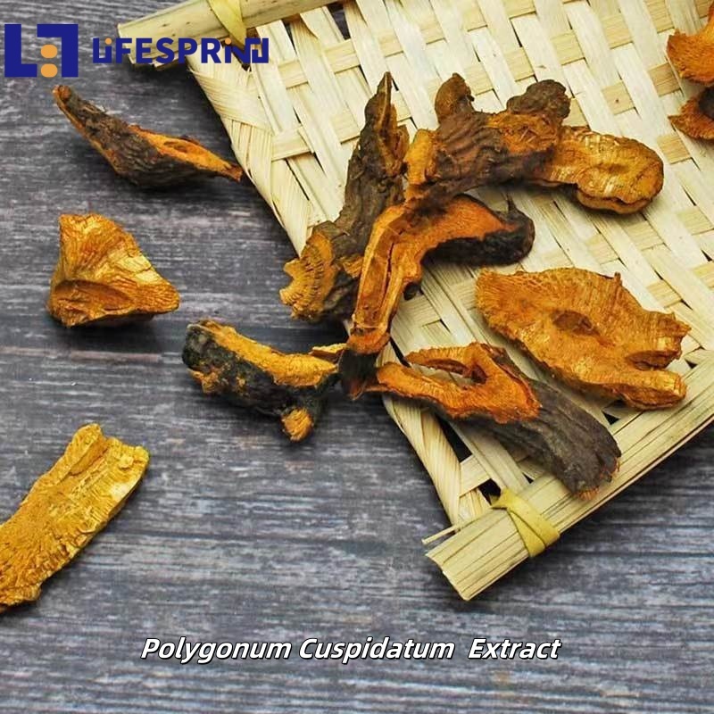 Resveratrol (Polygonum Cuspidatum root Extract)