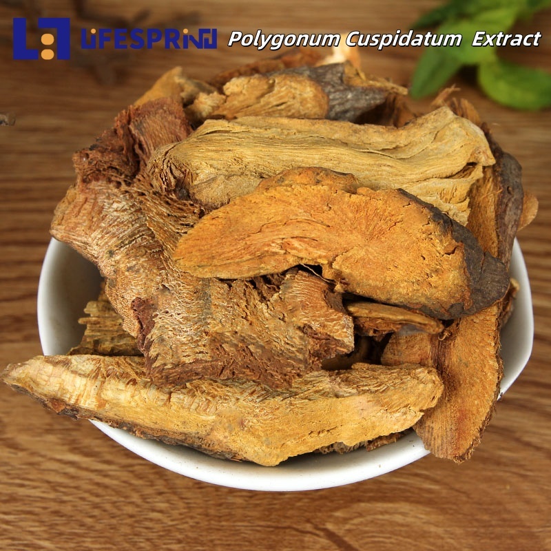 Resveratrol (Polygonum Cuspidatum root Extract)
