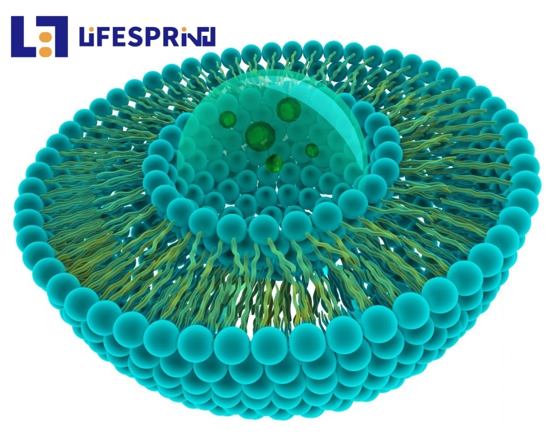 Liposomal NMN
