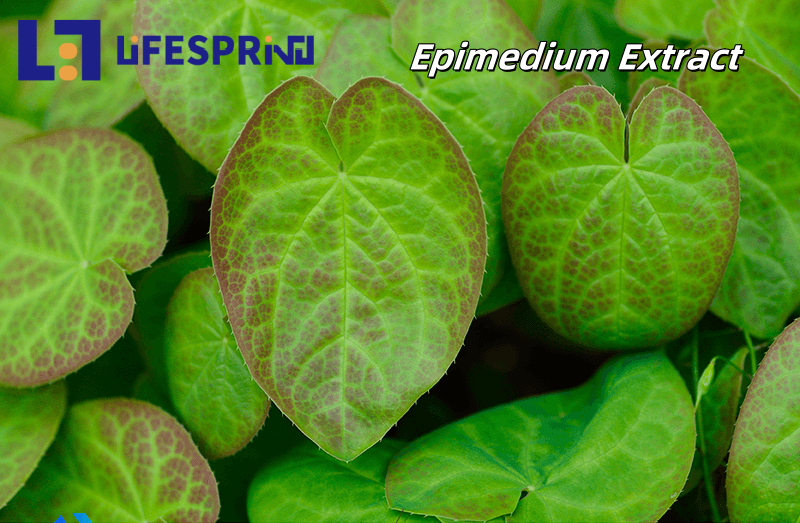 Epimedium Extract