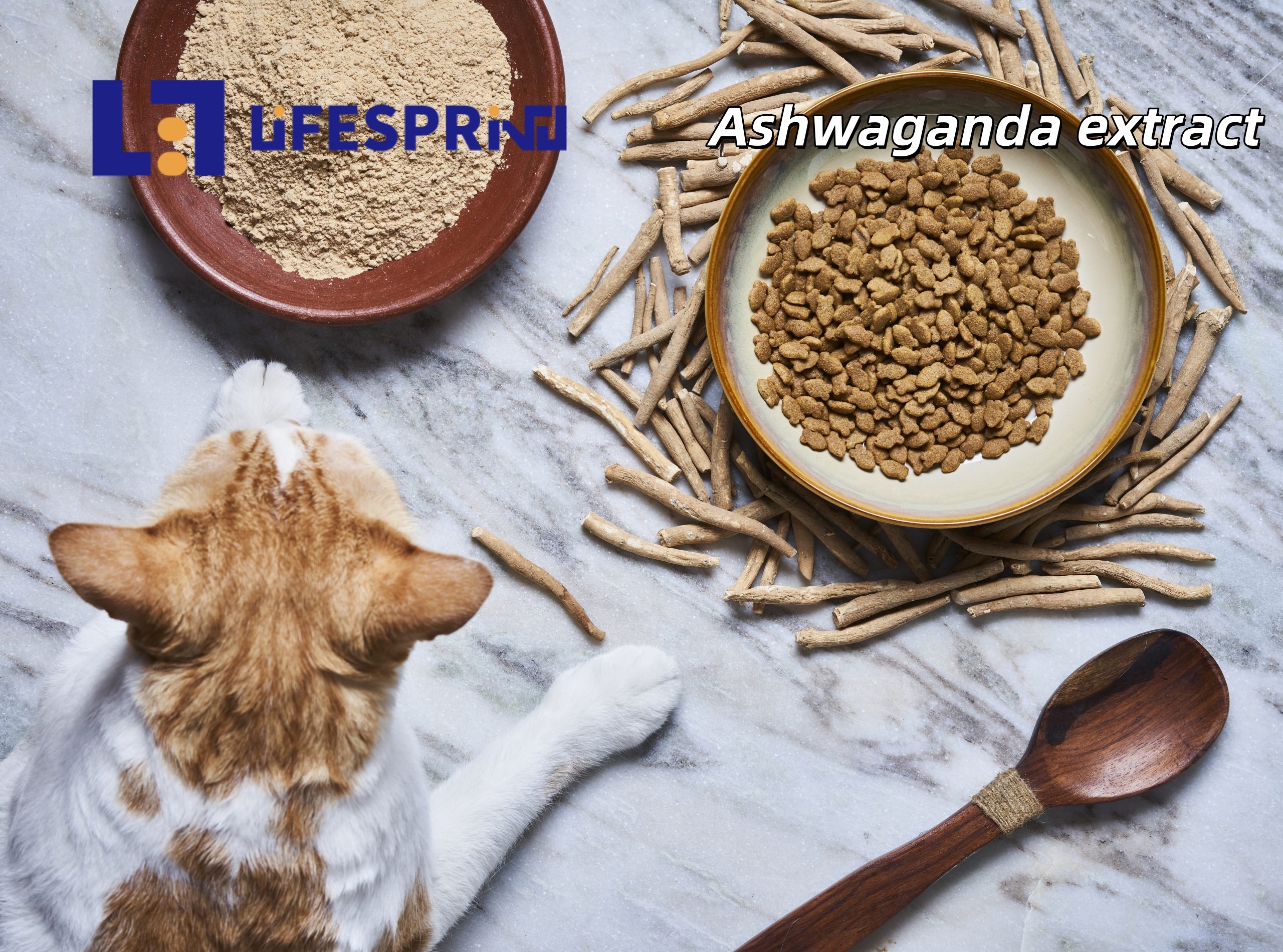 Ashwagandha Extract