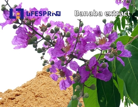 Banaba Extract