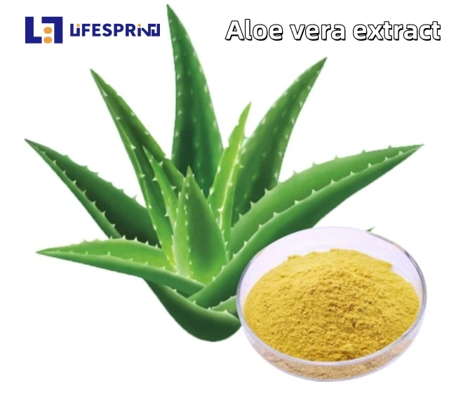 ALOE VERA Extract (GHRITKUMARI)