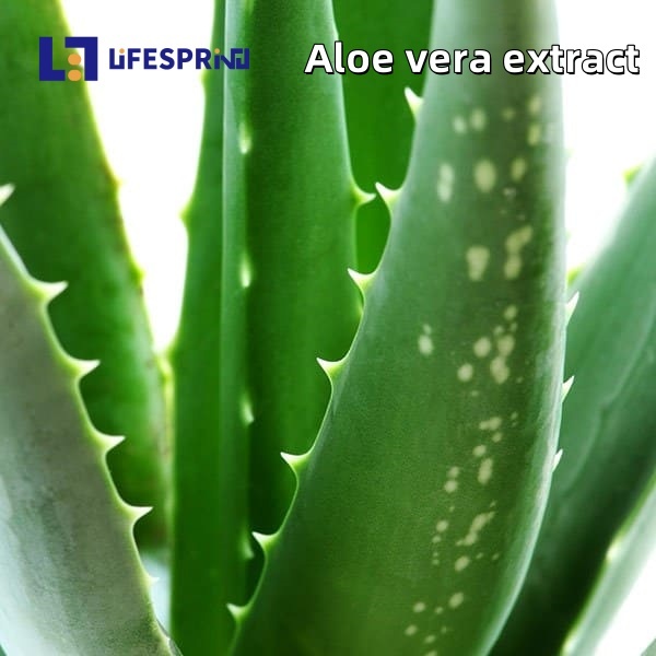 ALOE VERA Extract (GHRITKUMARI)