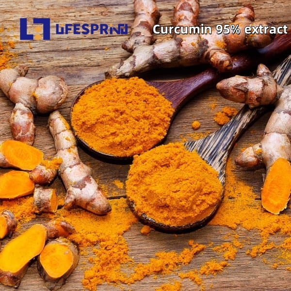 CURCUMIN 95%