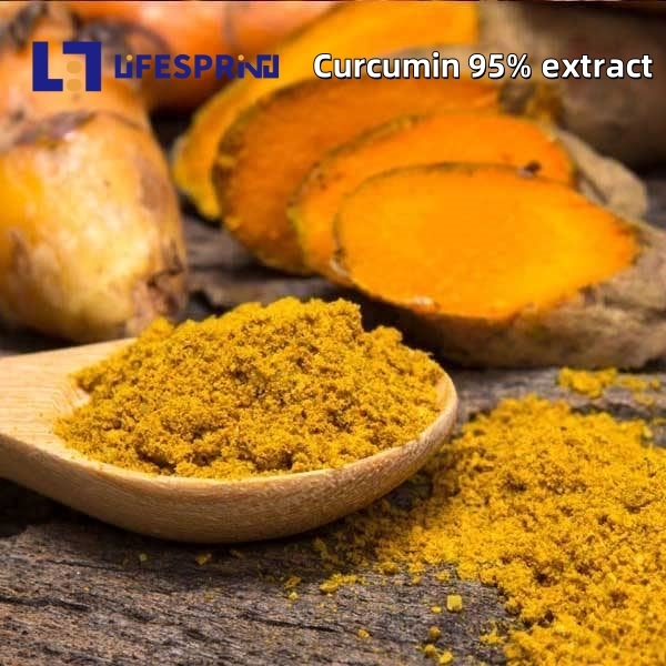 CURCUMIN 95%