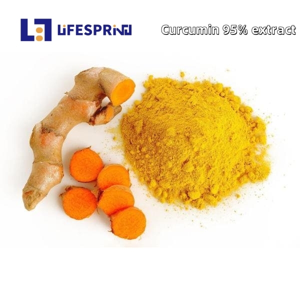 CURCUMIN 95%