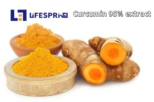 CURCUMIN 95%