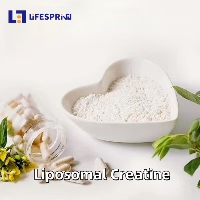 Liposomal Creatine