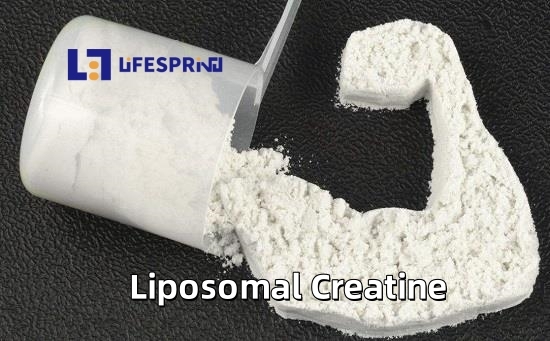Liposomal Creatine