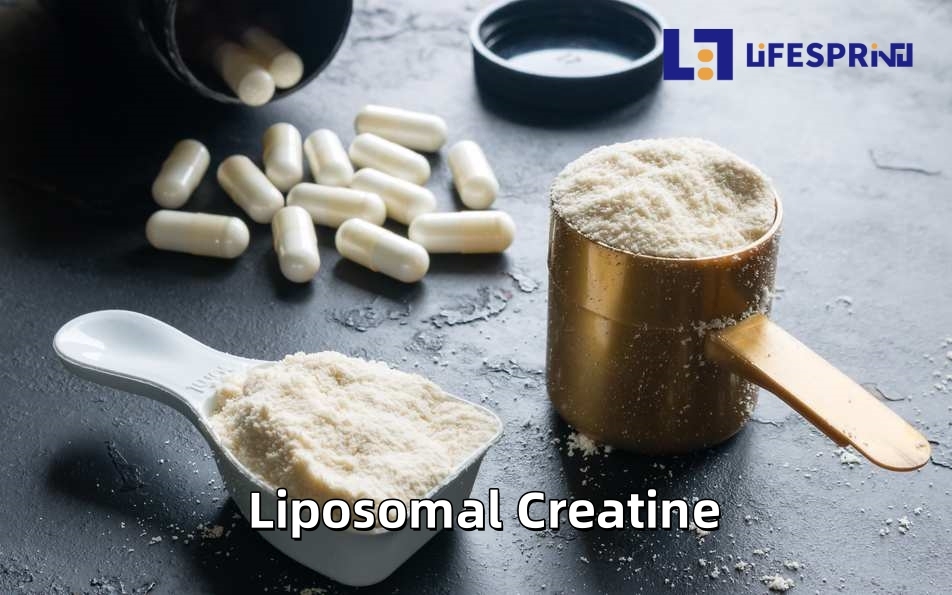 Liposomal Creatine