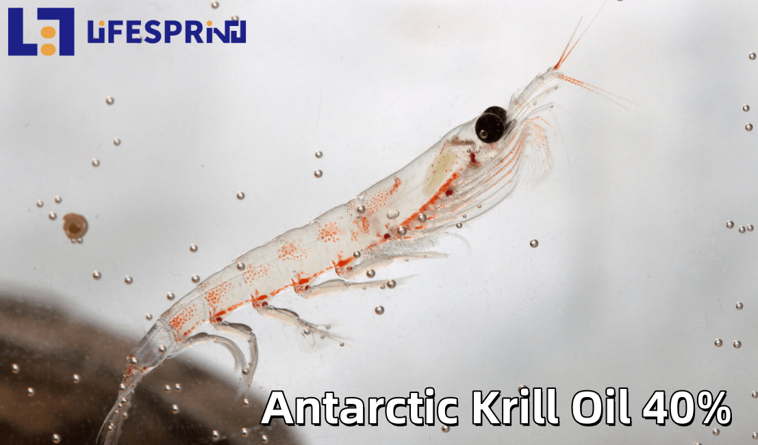 Antarctic Krill Oil 40%