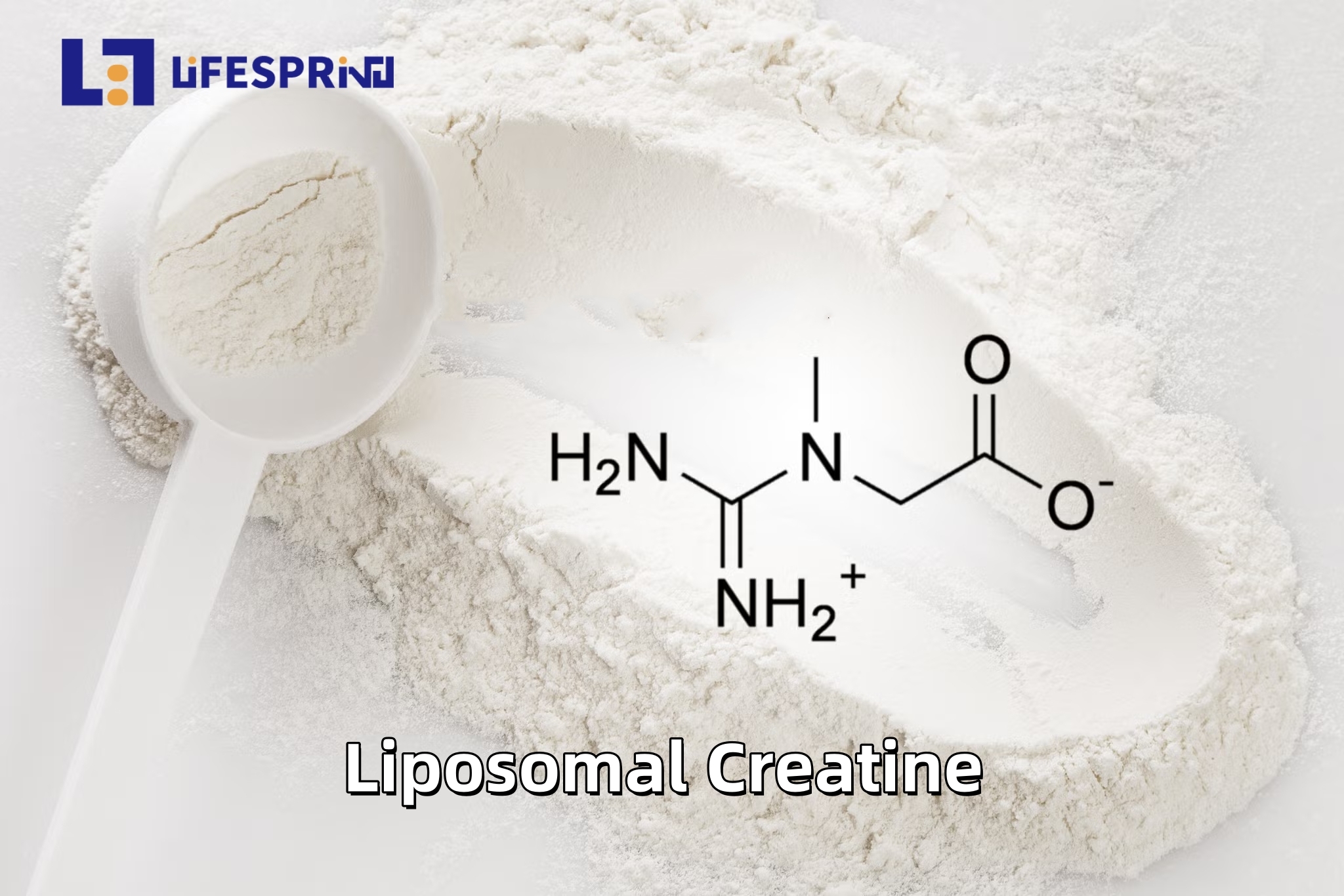 Liposomal Creatine
