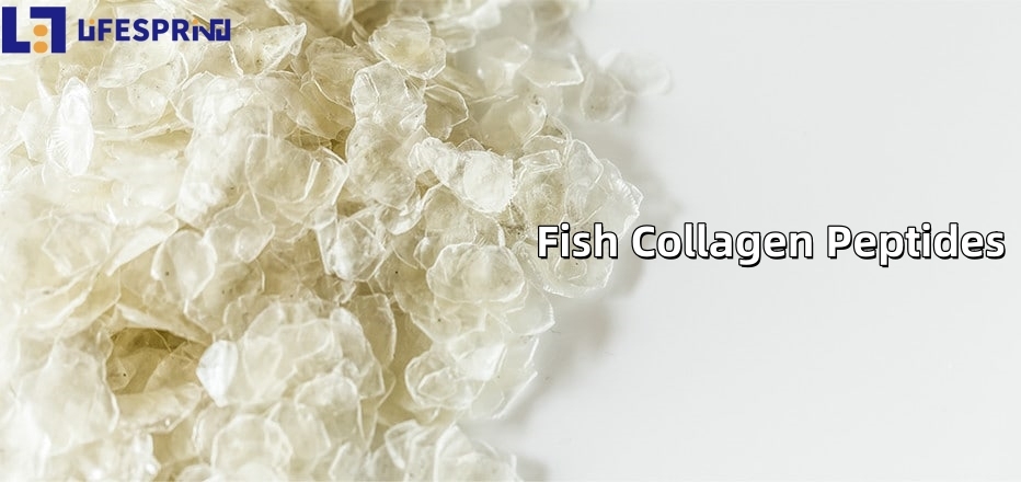 Fish Collagen Peptides