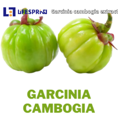 GARCINIA CAMBOGIA (VILAYATI IMLI)