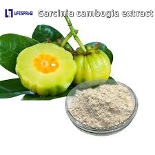 GARCINIA CAMBOGIA (VILAYATI IMLI)