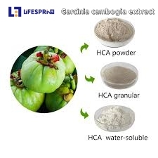 GARCINIA CAMBOGIA (VILAYATI IMLI)