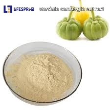GARCINIA CAMBOGIA (VILAYATI IMLI)