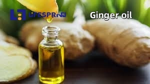 ZINGIBER OFFICINALE (GINGER)