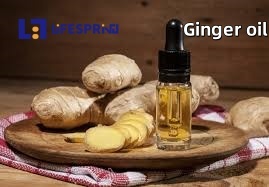 ZINGIBER OFFICINALE (GINGER)